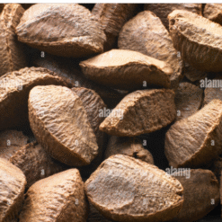 brazelian nut