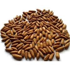 Premium Pinenuts (Chilgoza afghani black mediam size) 500-Gm