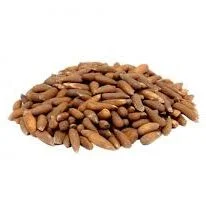 Premium Pinenuts (Chilgoza afghani black large size) 500-Gm