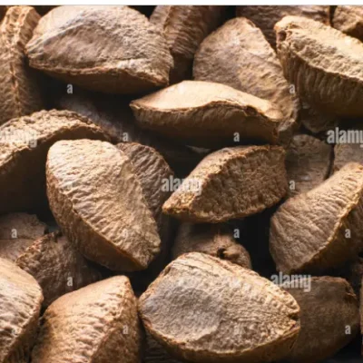 brazeelian-nut-1